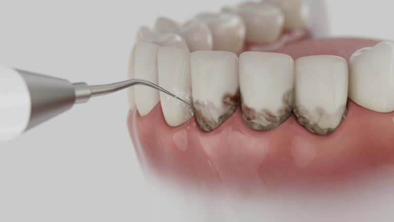 Reliable Dental contractor in Fairfield Harbour, NC by Dentist Open Now